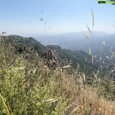 Melissa O'Neil Instagram - I am so wiped from today’s hike. The San Gabriel Mountains are so beautiful and the canyon streams are flowing, abundant, and *crisp*. Perfect to strip down and get into for that much needed mid-haul reset. Some Dudleyas for you. Phewph. G’night. Hashtag/getoutsideandgetnaked.