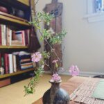 Melissa O'Neil Instagram - 🪷 “Is there any difference between the contemplation of the arrangement of a tree or a stone in the Tea-garden and that of the meaning of a line or a passage of the sacred writings?” -The Unknown Craftsman
