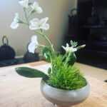 Melissa O’Neil Instagram – cutie with a bootie chabana for tea with Mary.