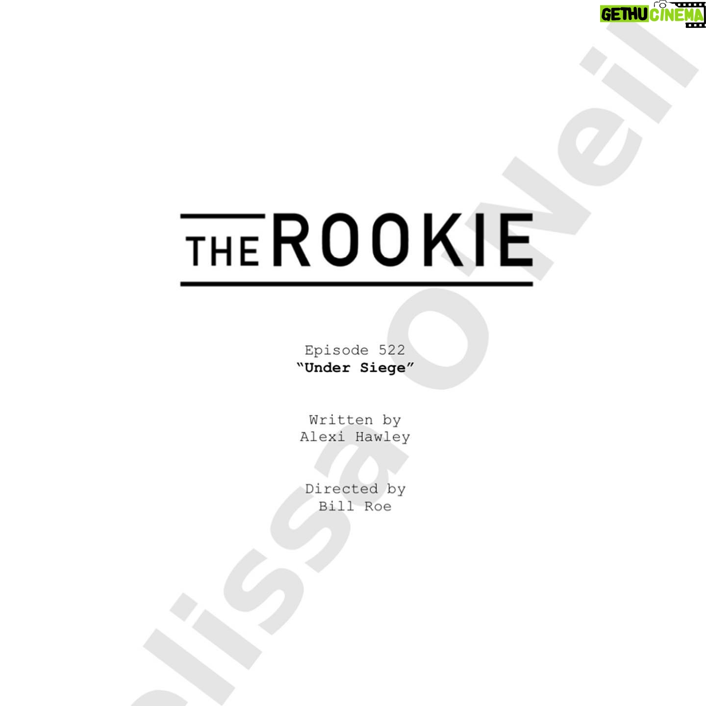 Melissa O Neil Wiki Biography Age Gallery Spouse And More