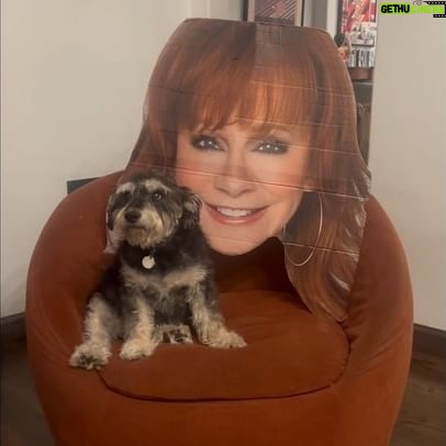 Melissa Peterman Instagram - We're ready for the double chair! No chair was harmed in the making of this video....except the chair in the video. It doesn't spin anymore. We got carried away. @nbcthevoice @danandshay @reba @nbc #thevoice @peteporte