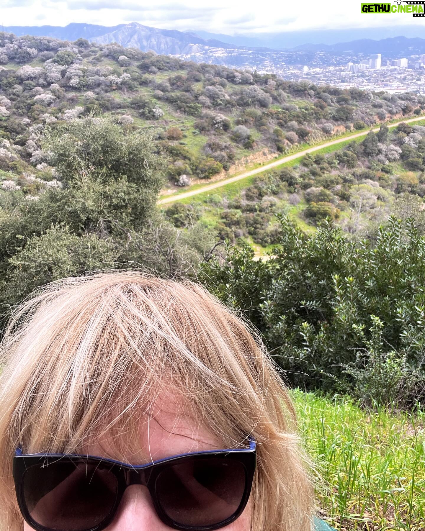 Melissa Peterman Instagram - Good Morning. And yes I will tag my trainer who's out of town to prove I am not on the couch while she's out of town! @daniellegrayfit #happyfriday #keepmoving #getoutside ❤️