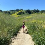 Melissa Villaseñor Instagram – Mustard weed and booty in superbloom 🤣