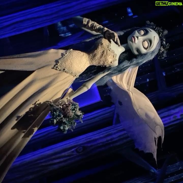 Meltem Yılmazkaya - 3 Likes - “One person’s craziness is another person’s reality!”
Tim Burton
🤡
@timburtonslabyrinth
#timburton
#barcelona
#exibition
#filmcharactersoftimburton