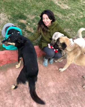 Meltem Yılmazkaya Instagram - Süslü cümleler kurmaya gerek yok. 
Uyutmak , öldürmek demek. 
Senin canini veren baska yaradan mi? 

#katliamyasatasarısınahayır 
#sokakhayvanları