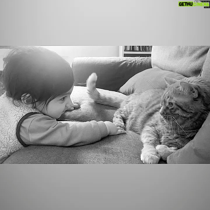 Meltem Yılmazkaya - 3 Likes - 🥹 Biraz duygusalım , ilk anneler günüm🌱 Anne olmakla anaç olmak bir değilmiş , annelik gönüllü delilik haliymiş , yıpranan bedenin ve ruhun sana bu büyük sevgiden hediyeymiş. Aşkım çoooook büyük , kaygı da bir o kadar🤍 Dilerim hep annen için “ iyi ki” dersin Topikim! Elimden , gücümden , kalbimden ne gelirse senin için ömür boyu! ❤️
