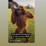 Mena Monroe Instagram - A lil threadiana 😘✌🏾 . . . . . . . . #. . . . . * * * * * * * * * #lfl #l4l #explore #menamonroe