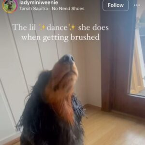 Mena Monroe Instagram - Sprinkle Sprinkle!