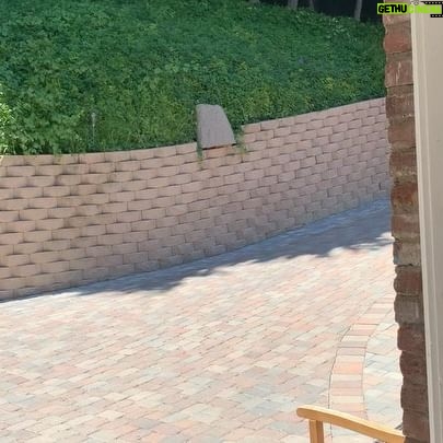 Mercedes Mason - 2.5K Likes - Can someone tell the unemployed actress that’s she’s NOT A LANDSCAPER!!!
#neardeathexperience #sagaftrastrong #mamaneedsahobby