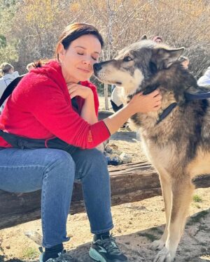 Meredith Salenger Instagram - It’s been a long time since I have bonded with a wolf. What a magical day. What a wonderful time @wolfconnection. You can tell in the 4th photo, that I am crying. I was so moved. This was beyond special.