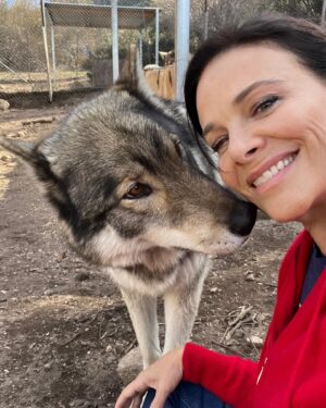 Meredith Salenger Instagram - It’s been a long time since I have bonded with a wolf. What a magical day. What a wonderful time @wolfconnection. You can tell in the 4th photo, that I am crying. I was so moved. This was beyond special.