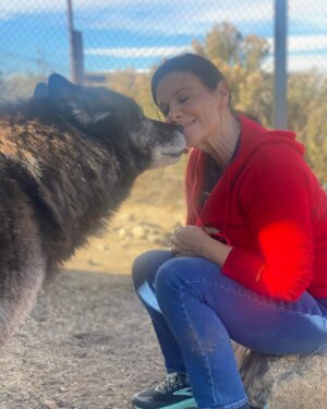 Meredith Salenger Instagram - It’s been a long time since I have bonded with a wolf. What a magical day. What a wonderful time @wolfconnection. You can tell in the 4th photo, that I am crying. I was so moved. This was beyond special.