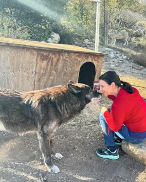 Meredith Salenger Instagram - It’s been a long time since I have bonded with a wolf. What a magical day. What a wonderful time @wolfconnection. You can tell in the 4th photo, that I am crying. I was so moved. This was beyond special.