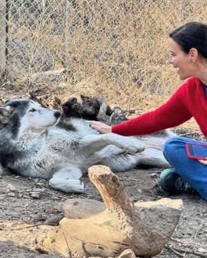 Meredith Salenger Instagram - It’s been a long time since I have bonded with a wolf. What a magical day. What a wonderful time @wolfconnection. You can tell in the 4th photo, that I am crying. I was so moved. This was beyond special.