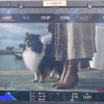 Merritt Patterson Instagram - Swipe for the star >>>