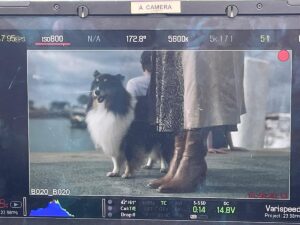 Merritt Patterson Instagram - Swipe for the star >>>