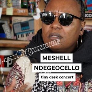 Meshell Ndegeocello Top 100 Instagram Photos and Posts