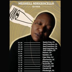 Meshell Ndegeocello Instagram - UPCOMING TOUR DATES! 
Where will we see you?