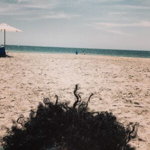Meshell Ndegeocello Instagram - #junetenth I can not imagine what my enslaved ancestors  endured. I let my hair out and watched the waves. Cried . Laughed . My ideologies are coming into view and into question. I am the descendant of a mighty people 🤲🏾 I can’t believe I’ve made it this far !