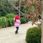 Mey Santamaría Instagram – Para todos aquell@s que preguntaron por Mia. Aquí está, creciendo y cada día más bella! 💖Corriendo para buscar un espacio donde ver a las vecinitas 🤦🏽♀️. Se gritan de una casa a otra para jugar. 😂🤣😂 y tengo que vigilarla porque trata de meterse por debajo de los cercos para escaparse a jugar igual que los perros. Hoy es una niña sana, intensa y extremadamente feliz! Gracias a tod@s por sus buenos deseos y cariño para mis hijos. #amordelbueno #hijos #cuarentena 🙌🏼💕💖 #bendiciones