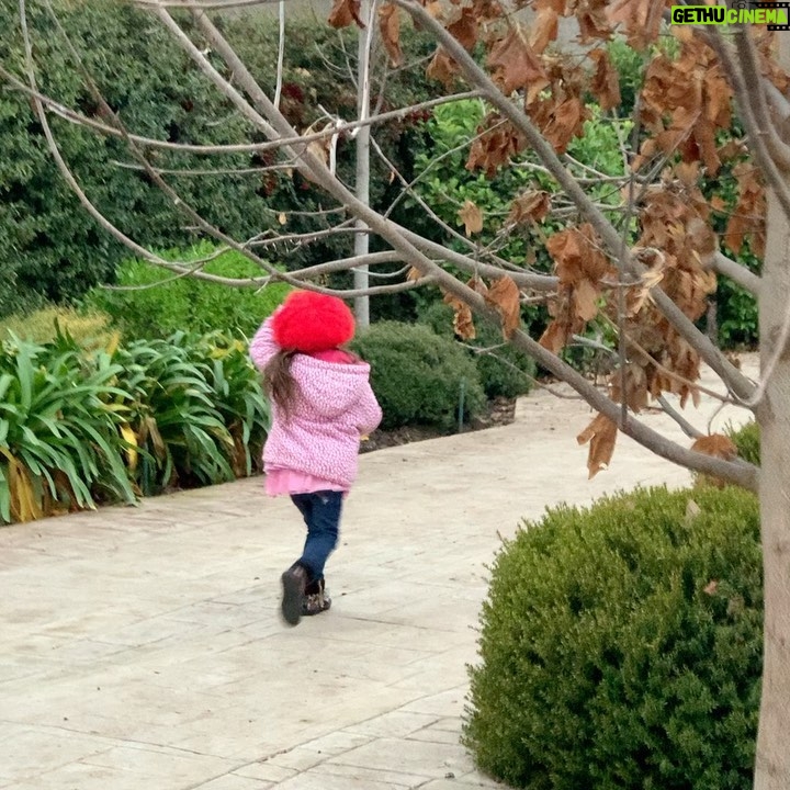 Mey Santamaría - 8.8K Likes - Para todos aquell@s que preguntaron por Mia. Aquí está, creciendo y cada día más bella! 💖Corriendo para buscar un espacio donde ver a las vecinitas 🤦🏽♀️. Se gritan de una casa a otra para jugar. 😂🤣😂 y tengo que vigilarla porque trata de meterse por debajo de los cercos para escaparse a jugar igual que los perros. Hoy es una niña sana, intensa y extremadamente feliz! Gracias a tod@s por sus buenos deseos y cariño para mis hijos. #amordelbueno #hijos #cuarentena 🙌🏼💕💖 #bendiciones
