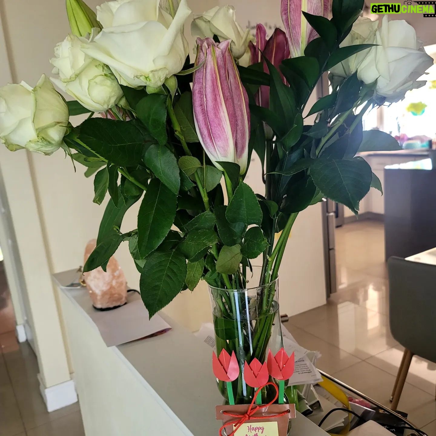 Mey Santamaría - 2.1K Likes - Feliz día a todas esas bellas madres que saben lo que es el AMOR!!! Feliz día madre mía, @sobeidagongora gracias por enseñarme sobre la empatia, la generosidad y muchas cosas que me han ayudado a ser la madre que soy hoy 💞 Gracias a mis hijos y a @philiptimmermann
Por mis regalos y a @kissmeeva por mis aros que me encantan!!💝
Se levantan sus hijos y la llaman bienaventurada; Y su marido también la alaba:
Proverbios 31:28
Muchas mujeres hicieron el bien; Mas tú sobrepasas a todas.
Proverbios 31:29
#felizdiadelasmadres #felizdiamama #abrazos