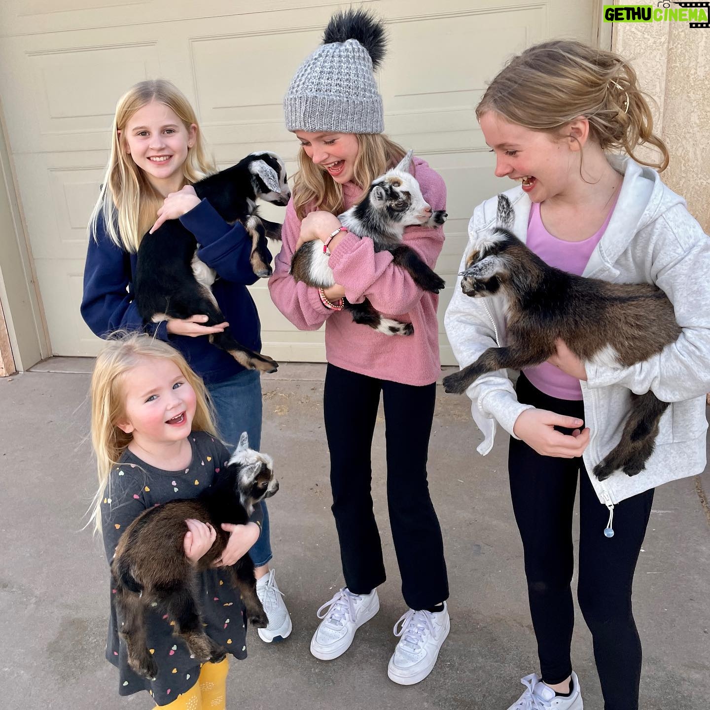 Mia Allan - 4.3K Likes - Babies!!! 🐐
Another Loud adventure
@lexi_janicek @emilykatherineford @ellaallanofficial @miaallanofficial