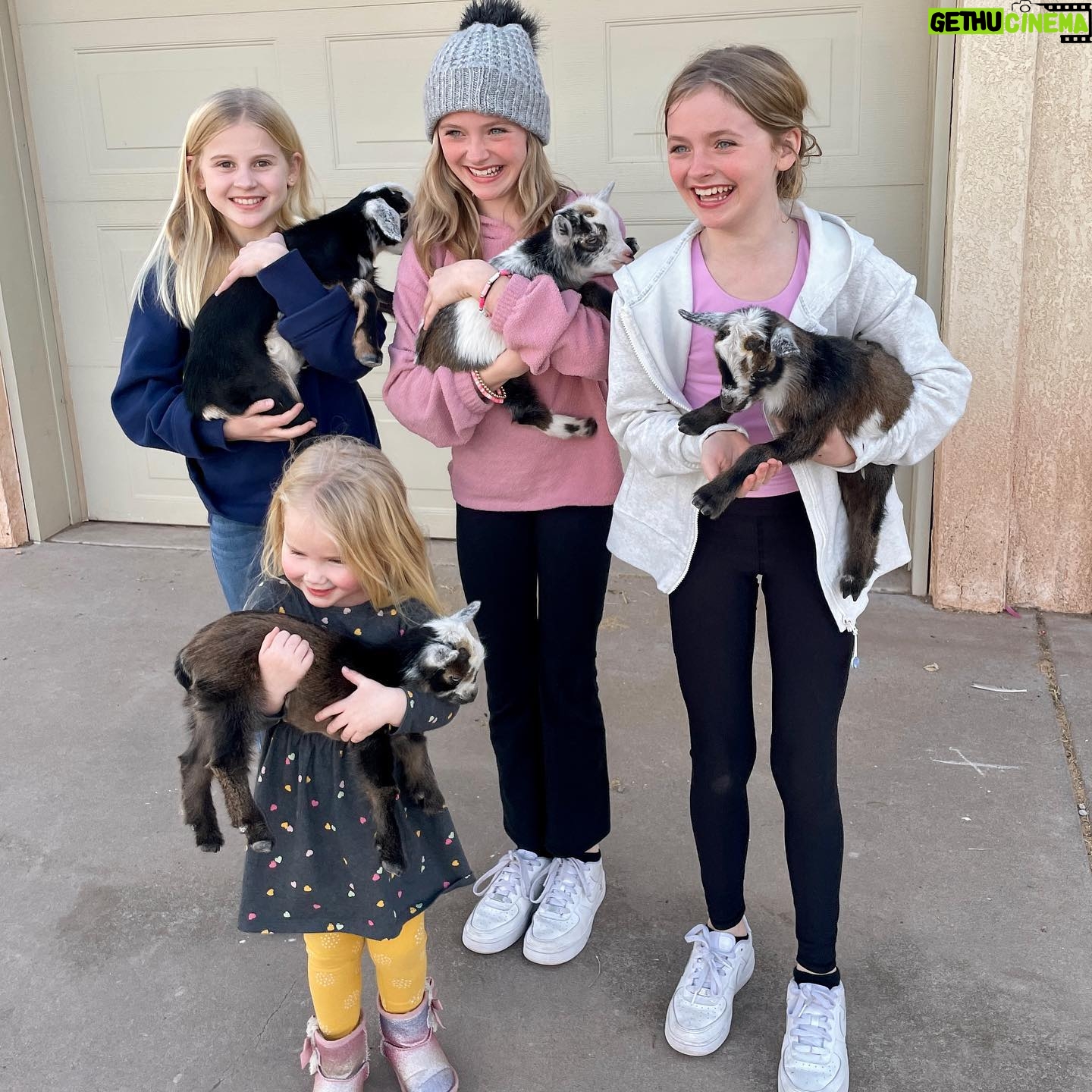 Mia Allan Instagram - Babies!!! 🐐 Another Loud adventure @lexi_janicek @emilykatherineford @ellaallanofficial @miaallanofficial