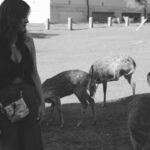 Mia Rose Instagram - A stroll down Nara Park 🦌💕 #peppermayo