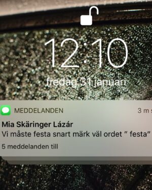 Mia Skäringer Instagram - För tre år sedan lovade jag @hampusnessvold att vi skulle festa. Förra veckan blev det äntligen av, dock måste man nog tillägga att det mest var Hampus som sköt ut mig 🚀 Lyssna på det nya avsnittet @skaringerochnessvold idag.
