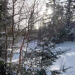 Mia Skäringer Instagram - @polpoplay gjorde sälen lite roligare 😎👋🏻Missa inte nya realityleken ”shitgame” Det och massa mer i dagens avsnitt av @skaringerochnessvold 🔼⏹️⏺️⛷️ ❤️Inom mig öppnar sig valv efter valv..