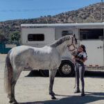 Mica Burton Instagram - “I would rather spend one lifetime with you, than face all the ages of this world alone.” - Arwen to Aragorn Huge day today. A day that I genuinely never thought would come… my own horse arrived to the barn today. I have worked so hard and found my passion and now I HAVE MY OWN BABY BOY! Everyone, meet Aragorn. Not quite the son of Arathorn, but the son of Mica so that’s good enough. I can’t wait to see how far we soar— this is the beginning of such a beautiful partnership! ✨✨✨