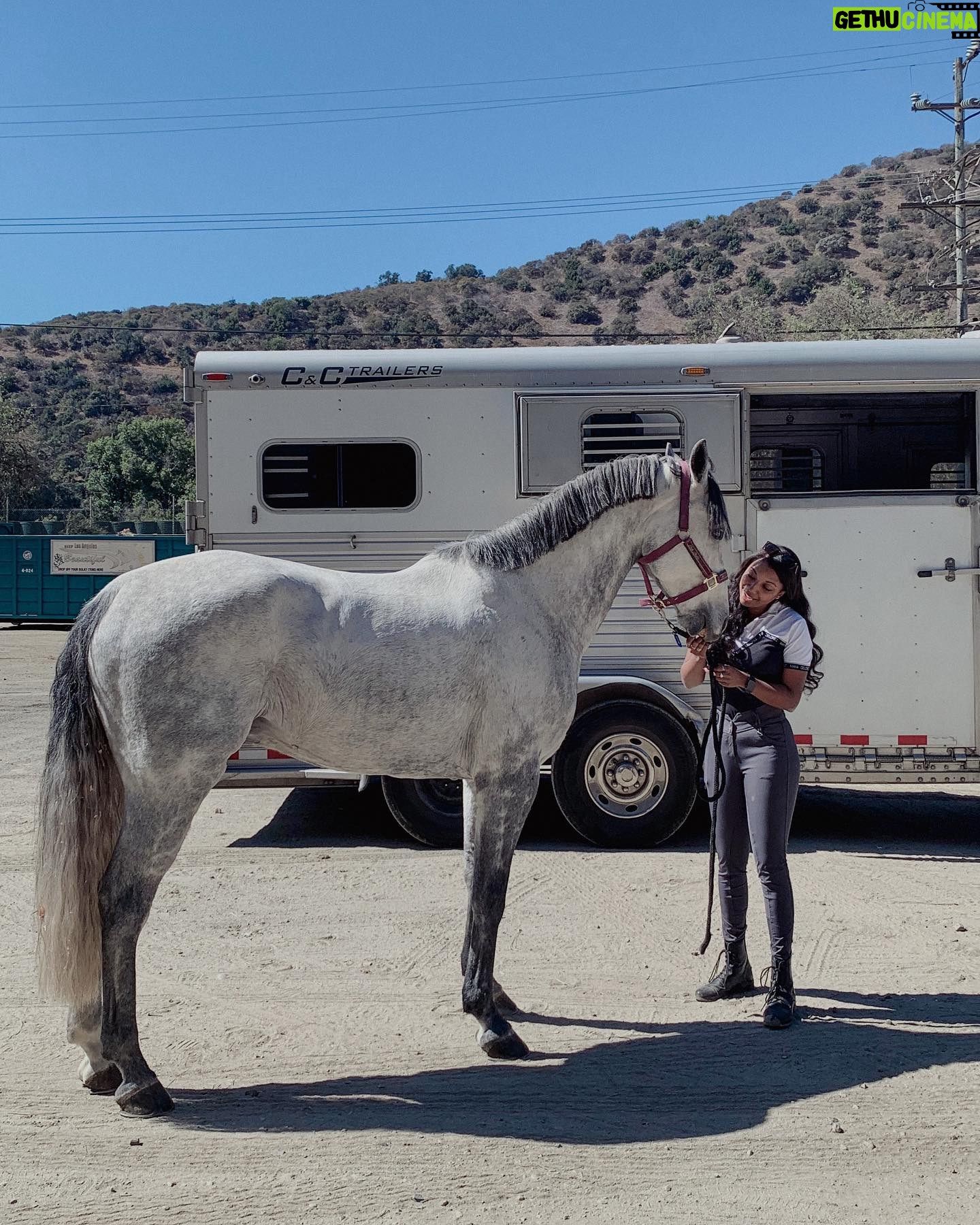 Mica Burton Instagram - “I would rather spend one lifetime with you, than face all the ages of this world alone.” - Arwen to Aragorn Huge day today. A day that I genuinely never thought would come… my own horse arrived to the barn today. I have worked so hard and found my passion and now I HAVE MY OWN BABY BOY! Everyone, meet Aragorn. Not quite the son of Arathorn, but the son of Mica so that’s good enough. I can’t wait to see how far we soar— this is the beginning of such a beautiful partnership! ✨✨✨