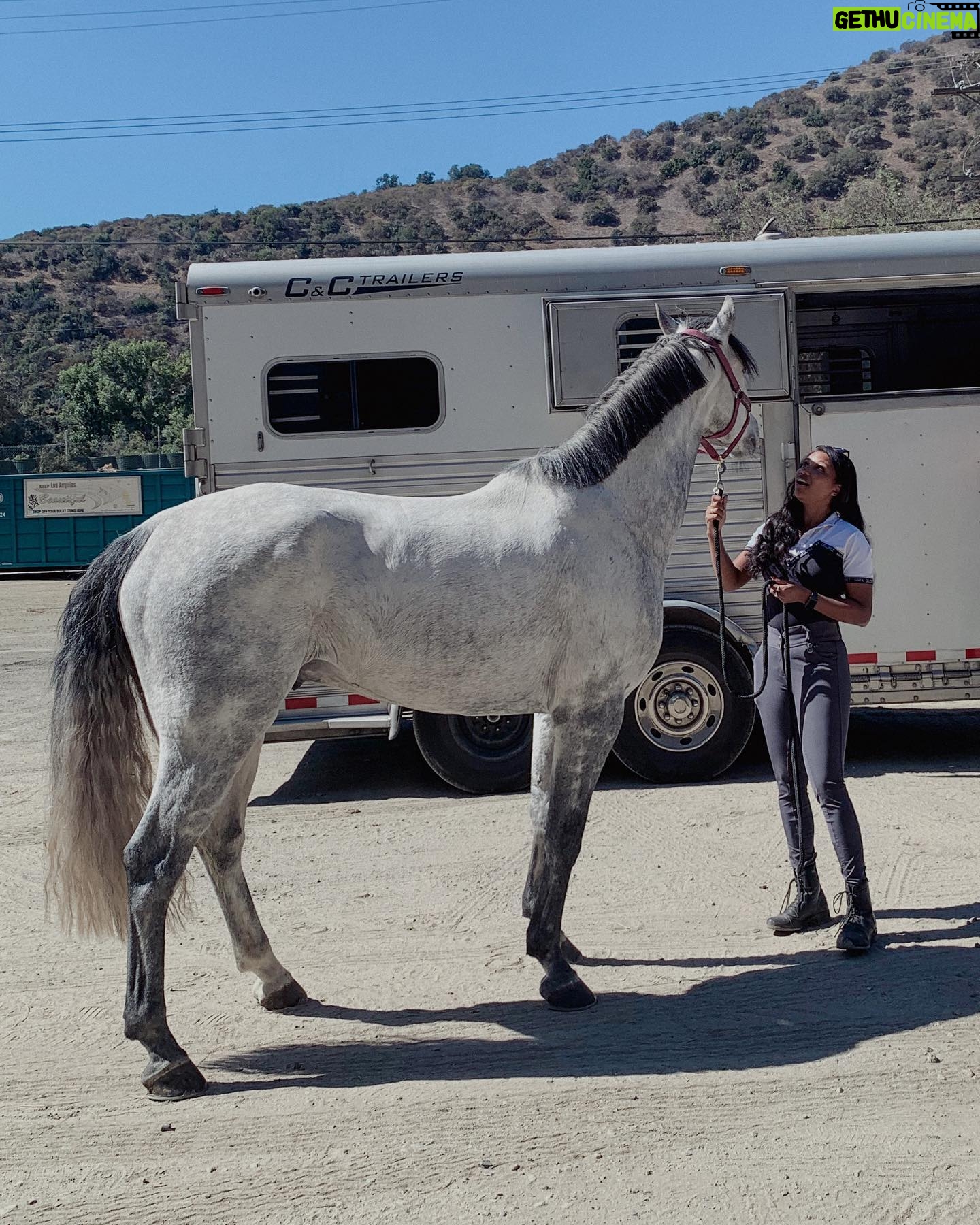 Mica Burton Instagram - “I would rather spend one lifetime with you, than face all the ages of this world alone.” - Arwen to Aragorn Huge day today. A day that I genuinely never thought would come… my own horse arrived to the barn today. I have worked so hard and found my passion and now I HAVE MY OWN BABY BOY! Everyone, meet Aragorn. Not quite the son of Arathorn, but the son of Mica so that’s good enough. I can’t wait to see how far we soar— this is the beginning of such a beautiful partnership! ✨✨✨