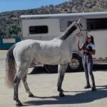 Mica Burton Instagram - “I would rather spend one lifetime with you, than face all the ages of this world alone.” - Arwen to Aragorn Huge day today. A day that I genuinely never thought would come… my own horse arrived to the barn today. I have worked so hard and found my passion and now I HAVE MY OWN BABY BOY! Everyone, meet Aragorn. Not quite the son of Arathorn, but the son of Mica so that’s good enough. I can’t wait to see how far we soar— this is the beginning of such a beautiful partnership! ✨✨✨