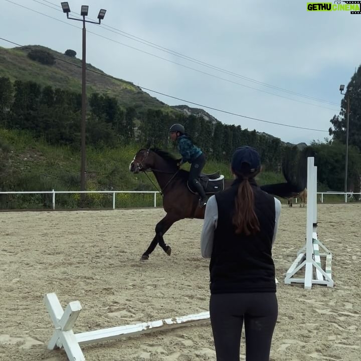 Mica Burton Instagram - ✨long post ahead, but it’s full of joy✨ I used to look at the photos in frame 1 and 3 and feel so proud of hauling a 1200lb animal over some sticks and having a great time, but now I look at the video in the second frame and feel more pride than I ever have. I finally jumped again for the first time since my broken leg. And I had fun. Is it a crossrail? Yeah. Did I trot into the jump? Sure. BUT I DID IT. Bit by bit I have been struggling to build up my confidence that was buried beneath the earth’s core and build my non-existent muscles back up again. My ankle was sore as hell and I’m icing and stretching today, but it was worth it! All the doubt and baby steps of progress were worth it for my whoop of joy in this video. Despite all my self hatred for not immediately jumping 2’3” after coming off crutches, I finally realized some progress is better than no progress, and clearly when you put those tiny pieces together, shit happens. I was so doubtful I’d ever be proud of myself riding ever again, but look! All of this to say, thank you endlessly to @cellardoorequestrian and all of my sisters at the barn. Through every tear and scream and moment I wanted to hang up my stirrups forever, they held my hand.