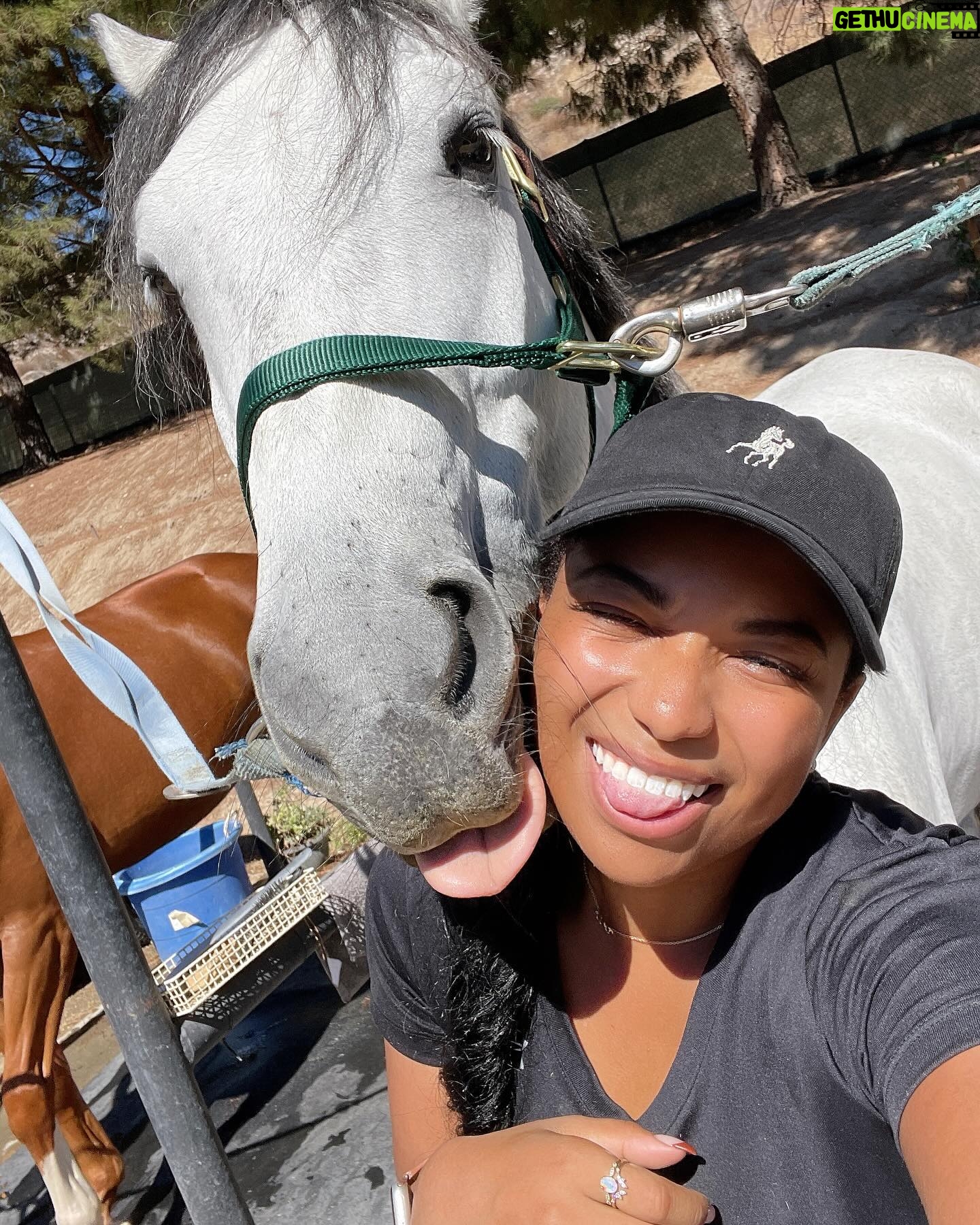 Mica Burton Instagram - Today is an incredibly special day— it is my sweet baby boy Aragorn’s 9th birthday! This four legged angel has brought me so much peace and joy, and I only hope I can show him a fraction of the love he gives to me every day for the rest of his life. WHICH WOULD BE A HECK OF A LOT OF LOVE!!! Everyone please leave Aragorn birthday wishes and pictures of carrots below I’m gonna read him every single one 💕🥕