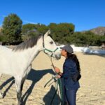 Mica Burton Instagram - Today is an incredibly special day— it is my sweet baby boy Aragorn’s 9th birthday! This four legged angel has brought me so much peace and joy, and I only hope I can show him a fraction of the love he gives to me every day for the rest of his life. WHICH WOULD BE A HECK OF A LOT OF LOVE!!! Everyone please leave Aragorn birthday wishes and pictures of carrots below I’m gonna read him every single one 💕🥕