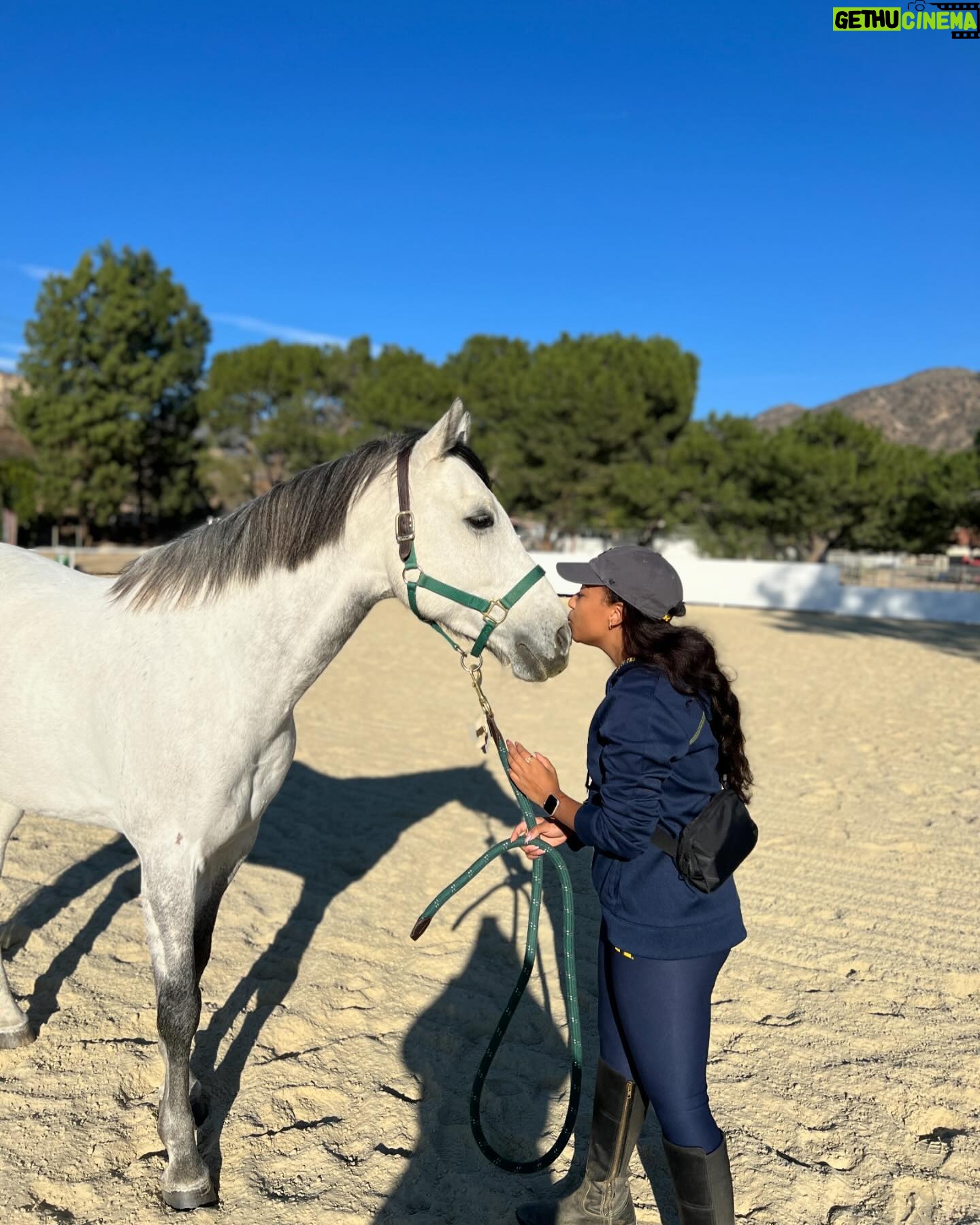 Mica Burton Instagram - Today is an incredibly special day— it is my sweet baby boy Aragorn’s 9th birthday! This four legged angel has brought me so much peace and joy, and I only hope I can show him a fraction of the love he gives to me every day for the rest of his life. WHICH WOULD BE A HECK OF A LOT OF LOVE!!! Everyone please leave Aragorn birthday wishes and pictures of carrots below I’m gonna read him every single one 💕🥕