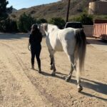 Mica Burton Instagram - Today is an incredibly special day— it is my sweet baby boy Aragorn’s 9th birthday! This four legged angel has brought me so much peace and joy, and I only hope I can show him a fraction of the love he gives to me every day for the rest of his life. WHICH WOULD BE A HECK OF A LOT OF LOVE!!! Everyone please leave Aragorn birthday wishes and pictures of carrots below I’m gonna read him every single one 💕🥕
