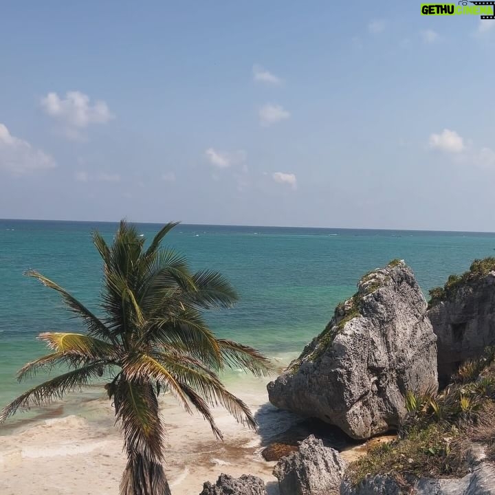 Micaela Reis - 6.3K Likes - Una chica muy feliz de vacaciones con sus amigos :)🇲🇽
Vejam os dois últimos slides ☺️🐢