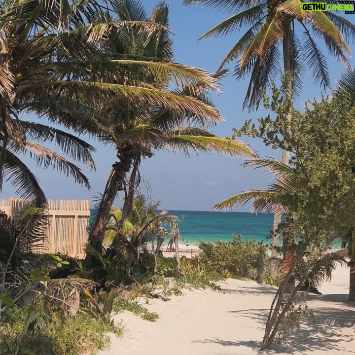 Micaela Reis - 6.3K Likes - Una chica muy feliz de vacaciones con sus amigos :)🇲🇽
Vejam os dois últimos slides ☺️🐢