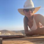 Michael Michele