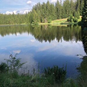 Michaela Badinková Instagram - Hmmmm, že by k večeři masáky😋. Moje první houby letos a krásné Novohradky 🐸🌲🦔 Enjoy your holiday❣️