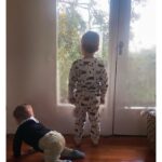 Michaela Conlin Instagram - 💘Theodore/Teddy💘 4.2021