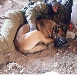 Michal Amdurski Instagram - מה שמרגש אותי 🤍🇮🇱