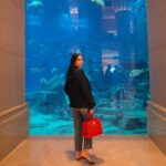 Michela Quattrociocche Instagram – In fondo 🦀🌊🐟🐬❤️🪼