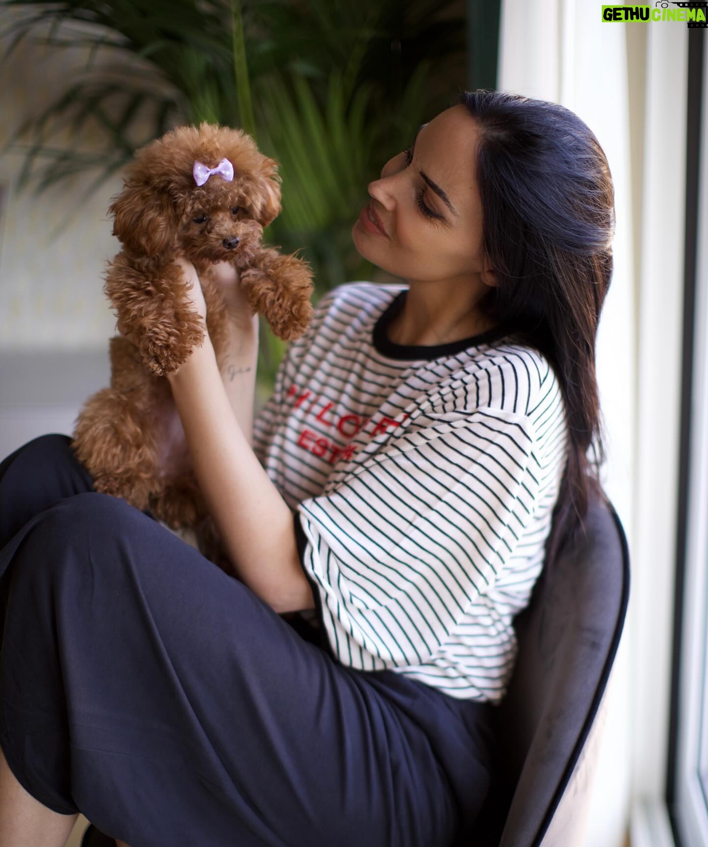 Michela Quattrociocche Instagram - Home🥰❤️🐶
