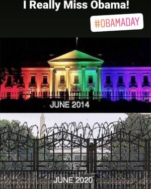 Michelle Hurd Instagram - This photo takes artistic license, there was never any barbed wire, BUT... You get the idea..The difference is painful..