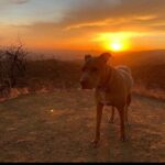 Michelle Borth Instagram - I will love the light for it shows me the way, yet I will always love the darkness for it shows me the stars ✨💫🌟⚡️. #findbeautyindarkness #weareallstardust #weareallconnected #findpeaceinnature #reflectingonlife #livefortoday #liveforthemoment #dontwaitforsomeone #danceintherain #freetobeme #freetobeyou #befearless #bebold #befree #runwildrun